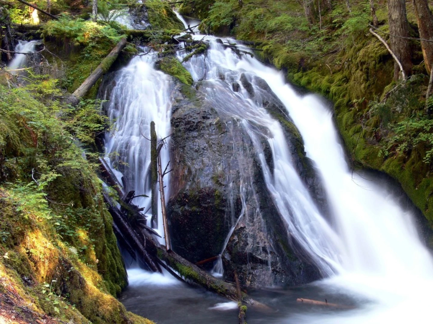 An image depicting the trail Little Zigzag Falls Trail and its surrounding area.