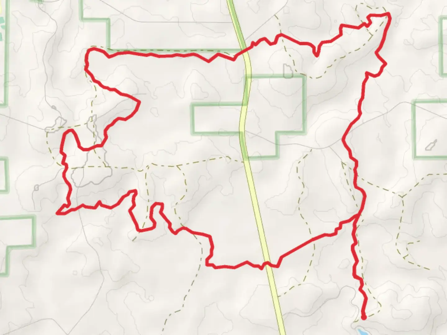 An image depicting the trail Conecuh Loop Trail - Blue Lake and its surrounding area.