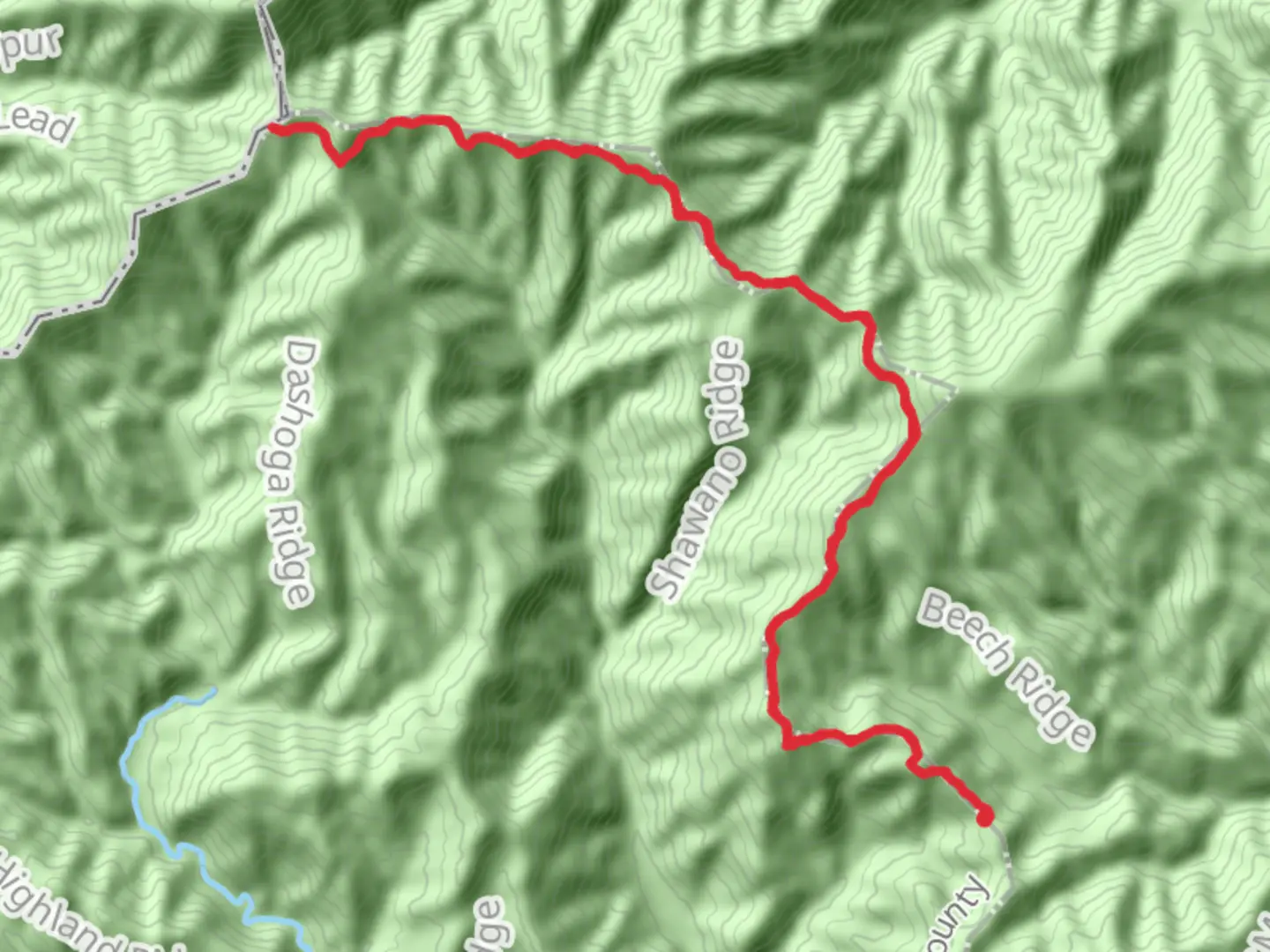 An image depicting the trail Balsam Mountain Trail via Pine Oak Gap and its surrounding area.
