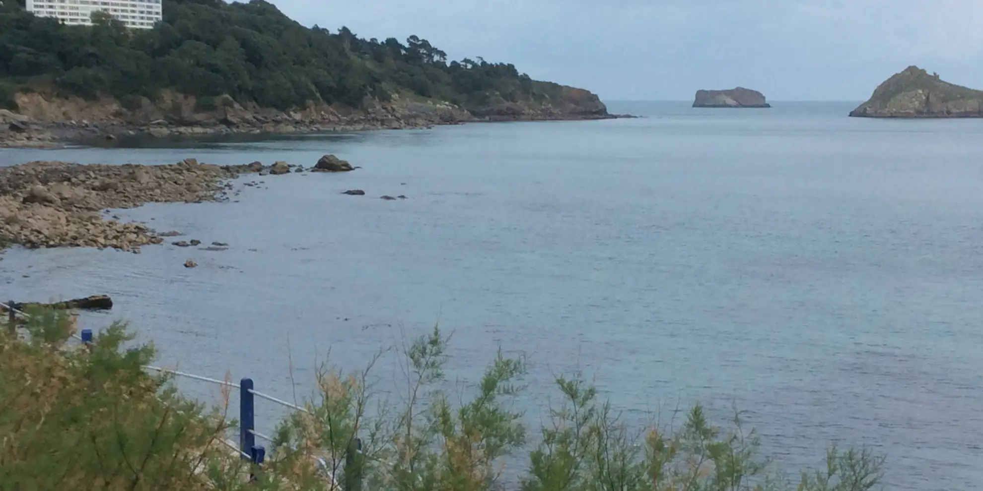 An image depicting the trail Meadfoot and London Bridge Walk and its surrounding area.