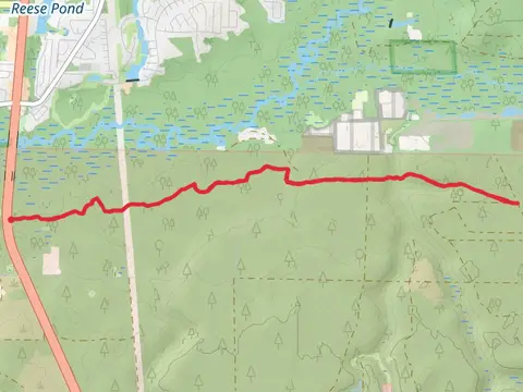 Pearl Creek- Florida Trail