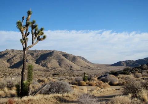 An image depicting the trail Lower Covington Flat Road Trail and its surrounding area.