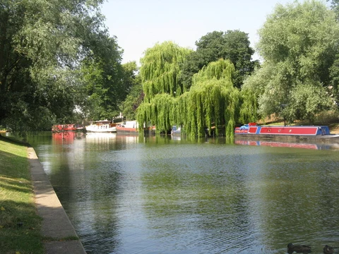 An image depicting the trail Cambridge Backs Loop Walk and its surrounding area.