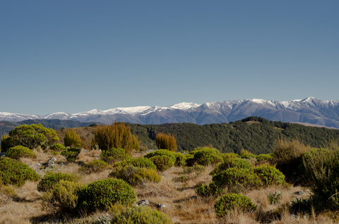 Mount Thomas Loop via Summit and Ridge Tracks