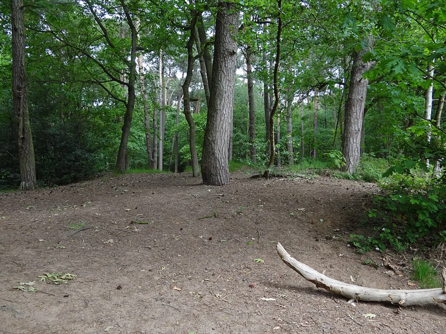 An image depicting the trail Barlo, Erholungsgebiet Proebsting and Ziegelheide Loop and its surrounding area.