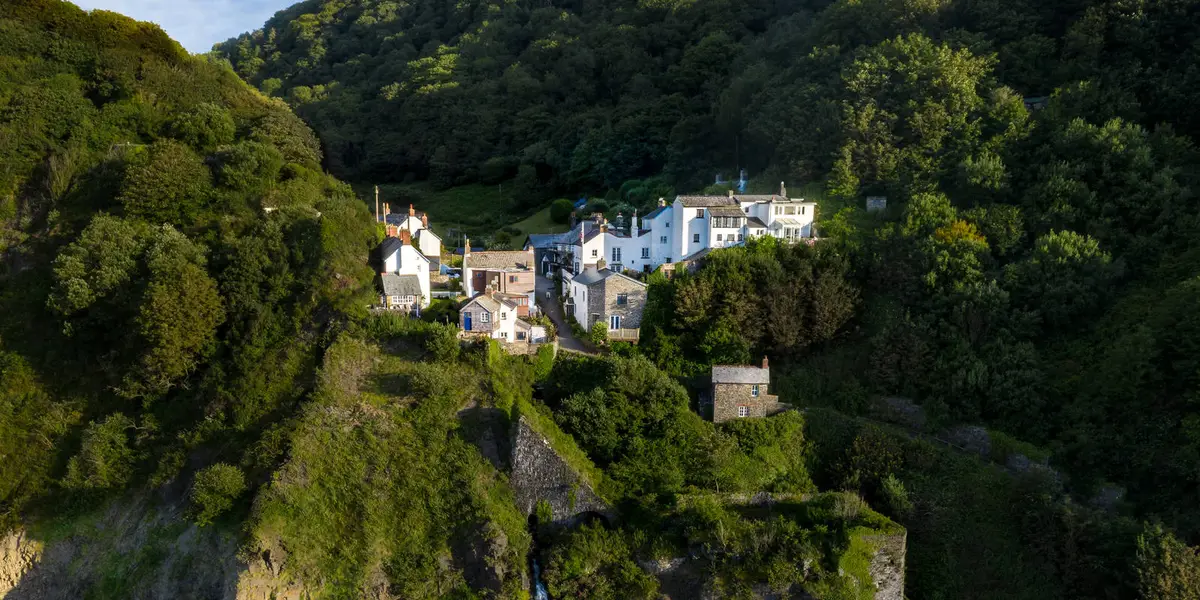 Steart Farm - Bucks Mill Nature Trail