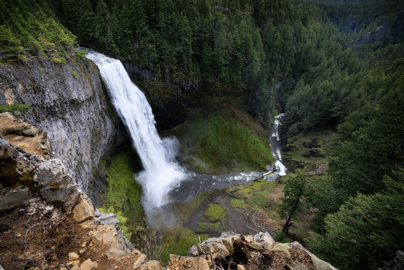 An image depicting the trail Salt Creek Falls Trail and its surrounding area.
