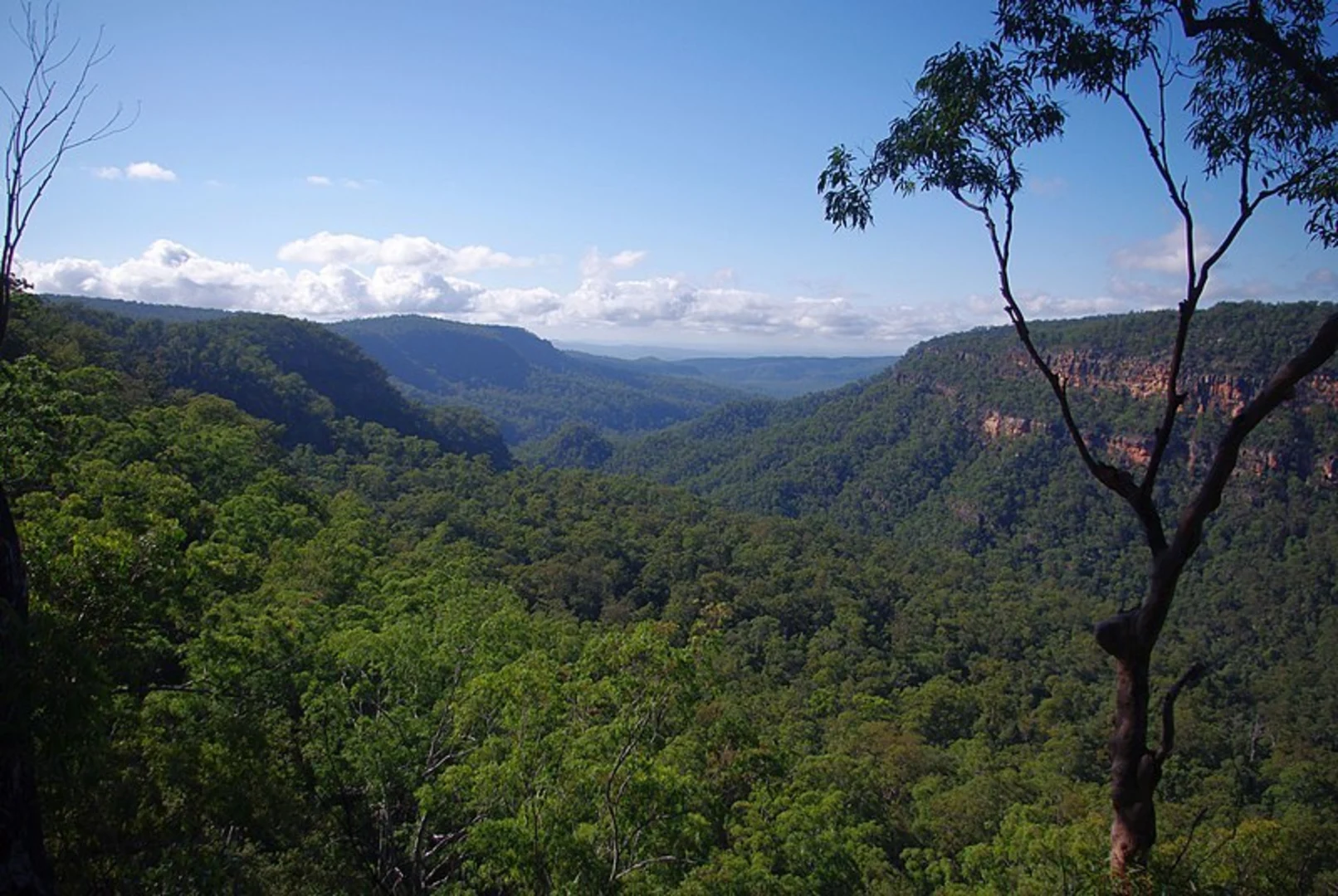 An image depicting the trail Mook Mook Walk and its surrounding area.