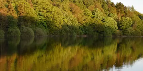 An image depicting the trail Low Bradwell and Agden Reservoir and its surrounding area.