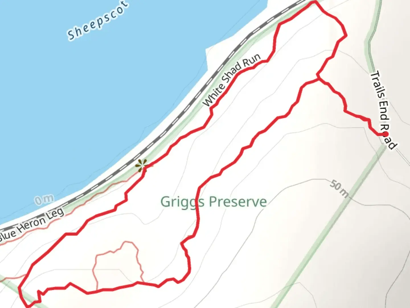 An image depicting the trail White Shad Run Loop and its surrounding area.