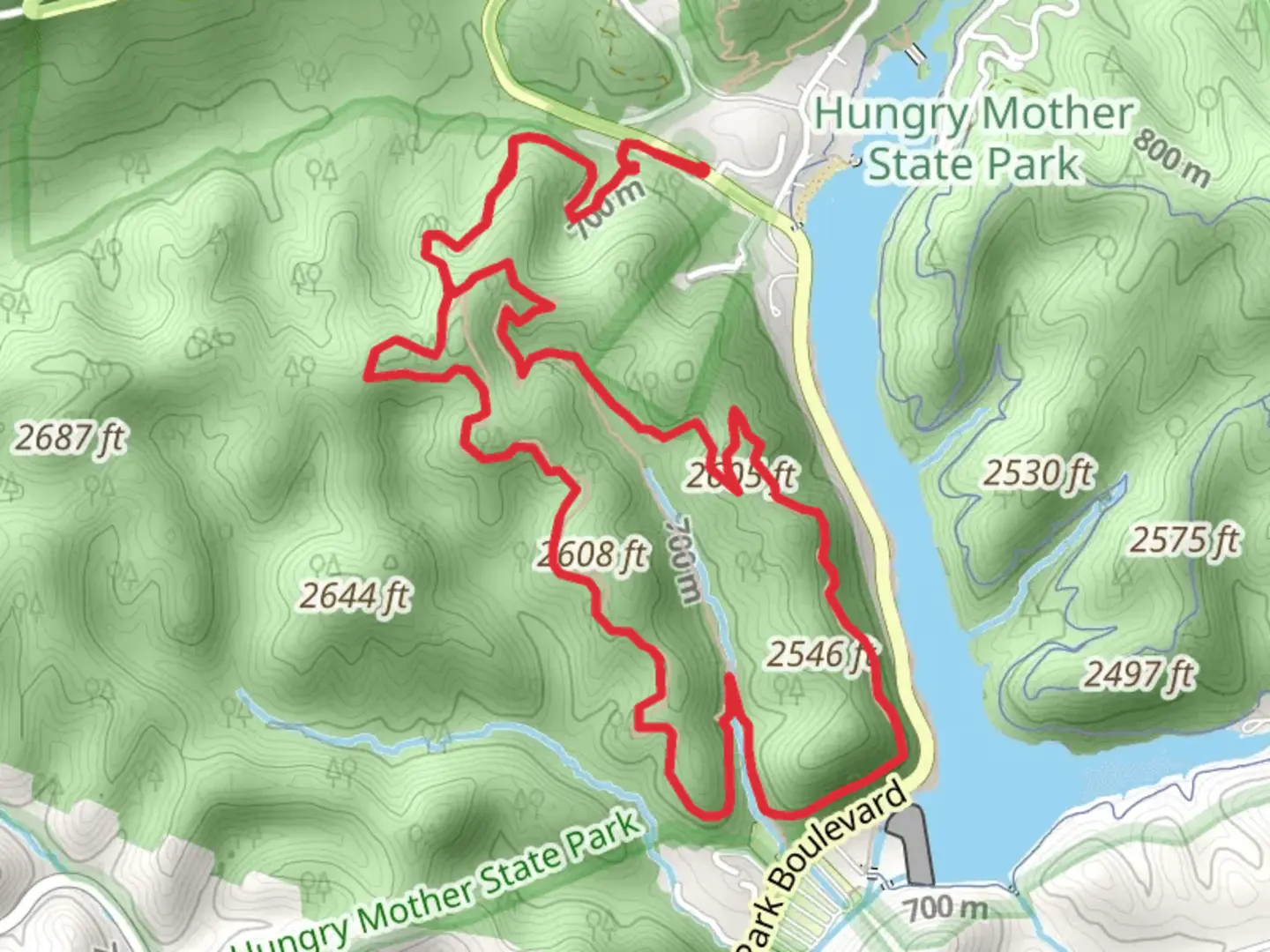 An image depicting the trail Stone Lick and Clyburn Ridge Loop Trail and its surrounding area.