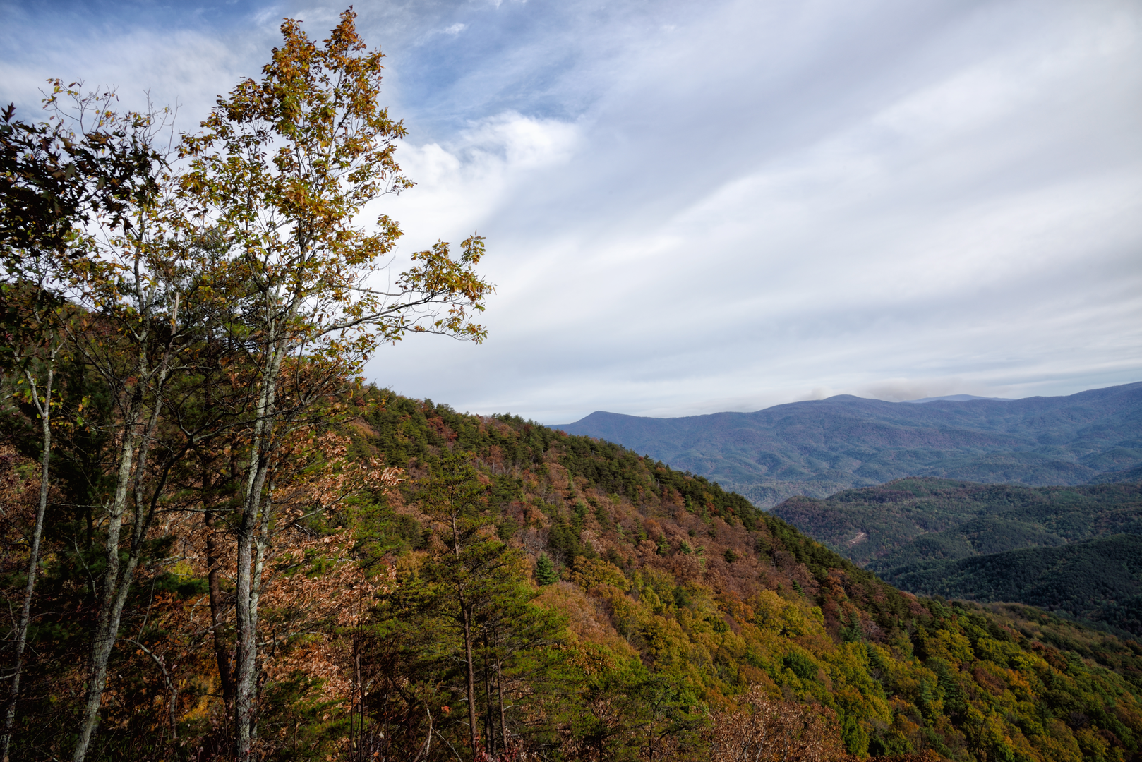 An image depicting the trail Conasauga River Trail and its surrounding area.