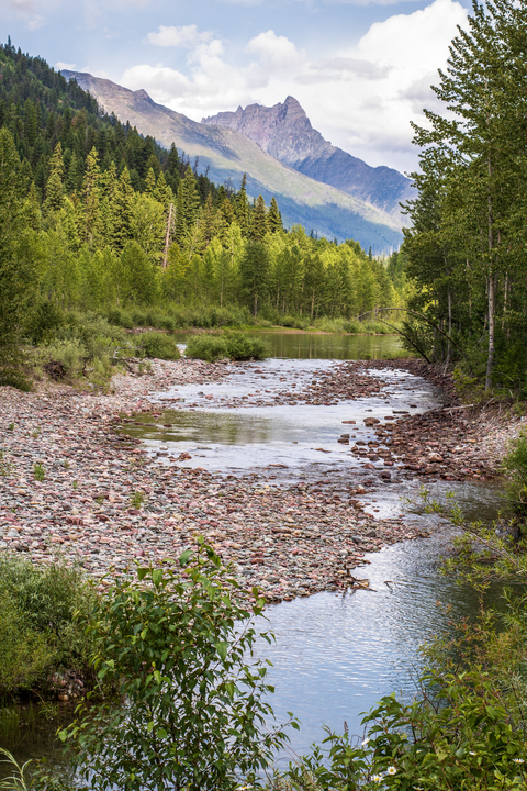 An image depicting the trail Garry Lookout Trail and its surrounding area.