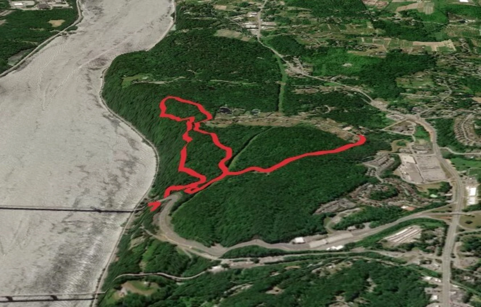 An image depicting the trail Yellow and White Trail Loop - Johnson-Iorio Memorial Park Loop and its surrounding area.