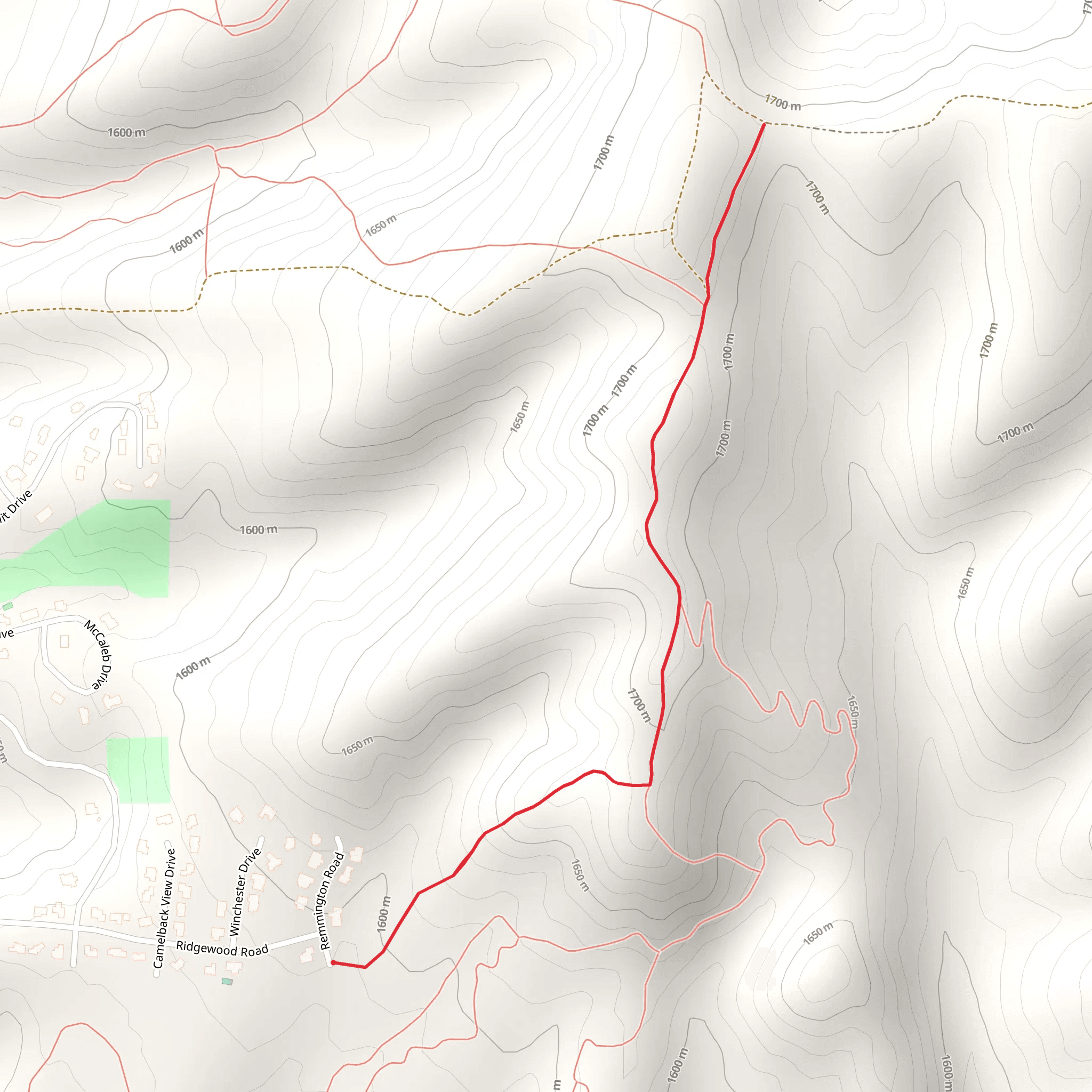 Remmington Road Walk mobile static map