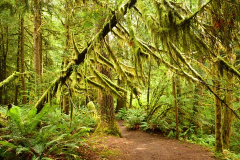 An image depicting the trail Moments In Time Trail and its surrounding area.