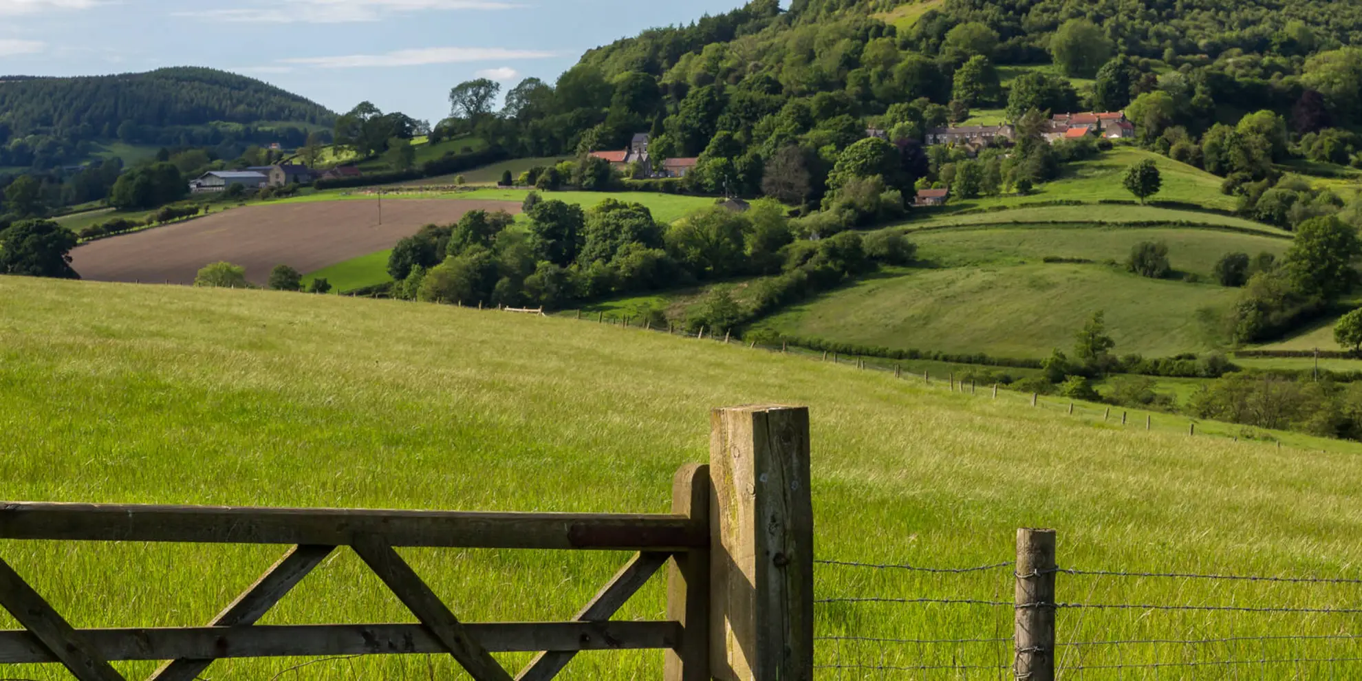 An image depicting the trail Hawnby - Easterside Hill - Hawnby Moor and Hawnby Hill and its surrounding area.
