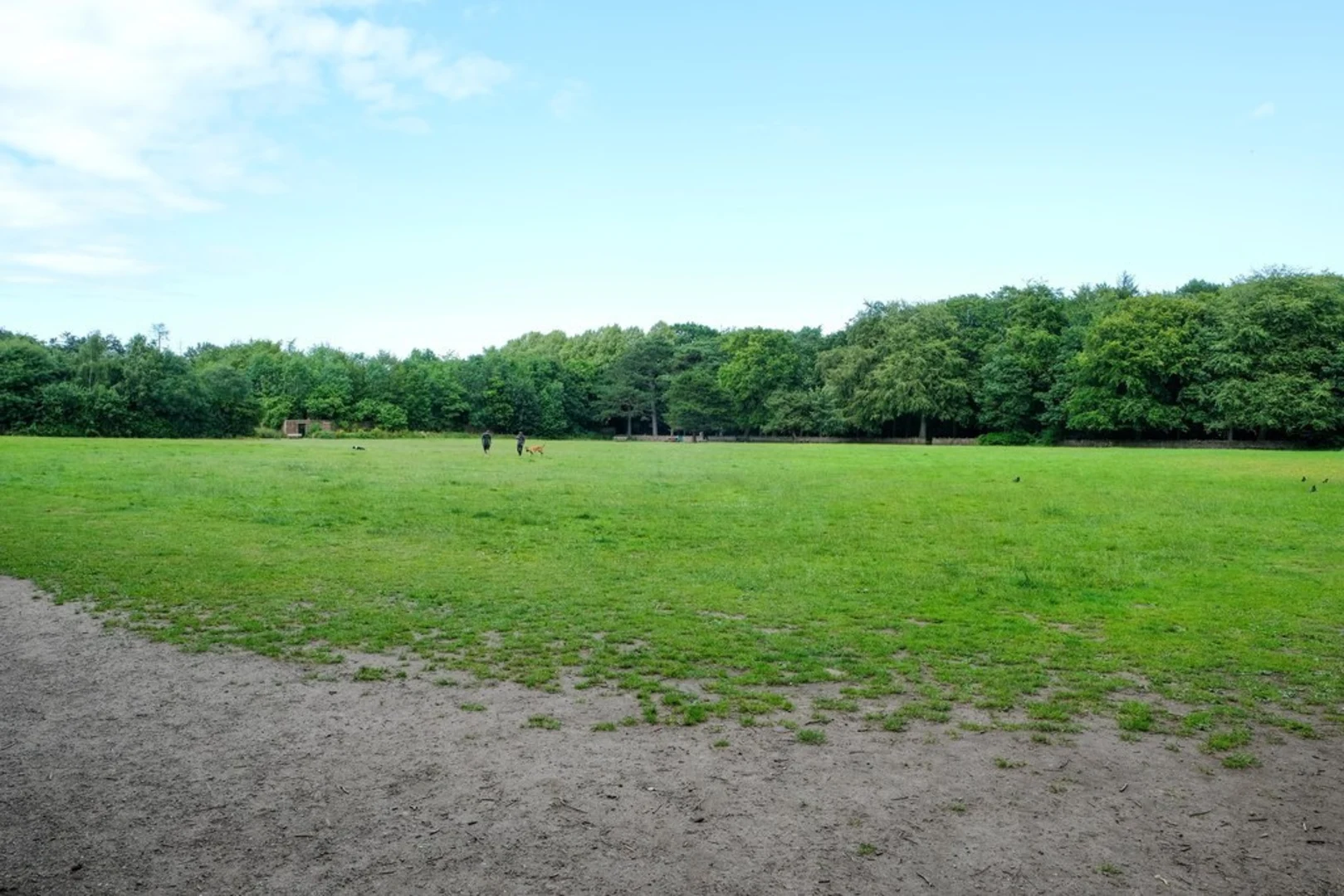 An image depicting the trail Royden Park and its surrounding area.