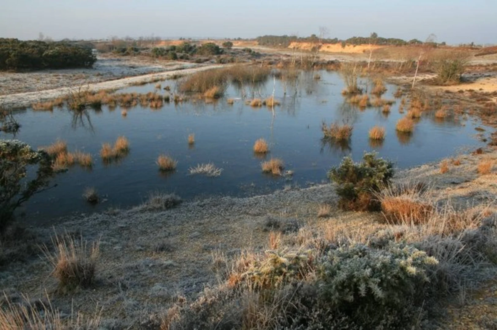 An image depicting the trail Holmsley Inclosure Loop - Burley and its surrounding area.