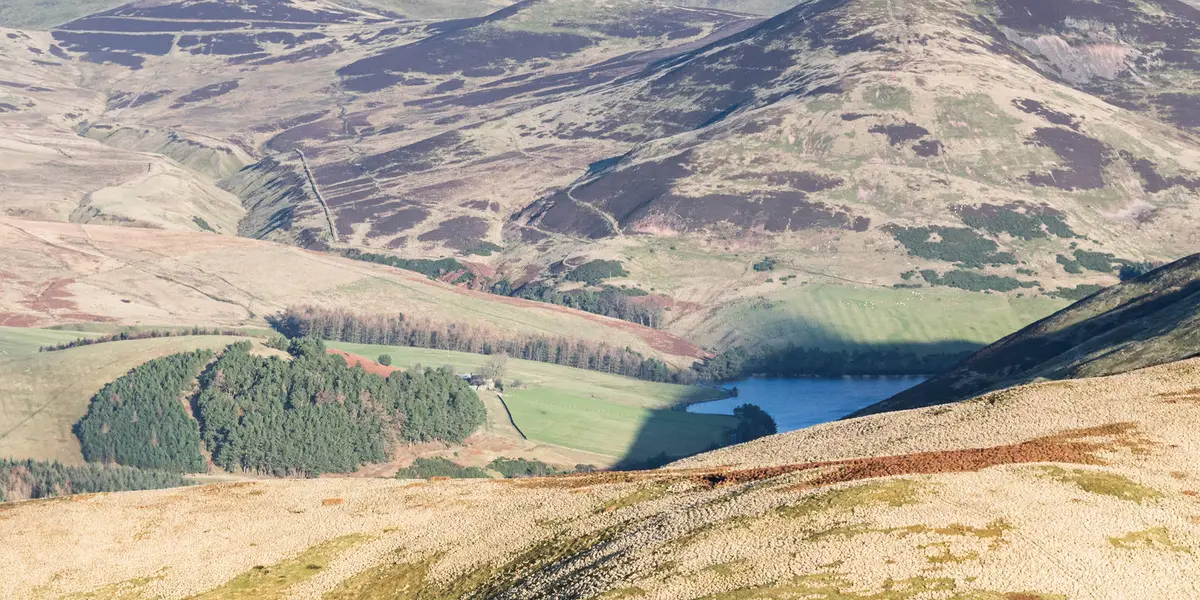 West Kip - East Kip and Scald Law from Threipmuir