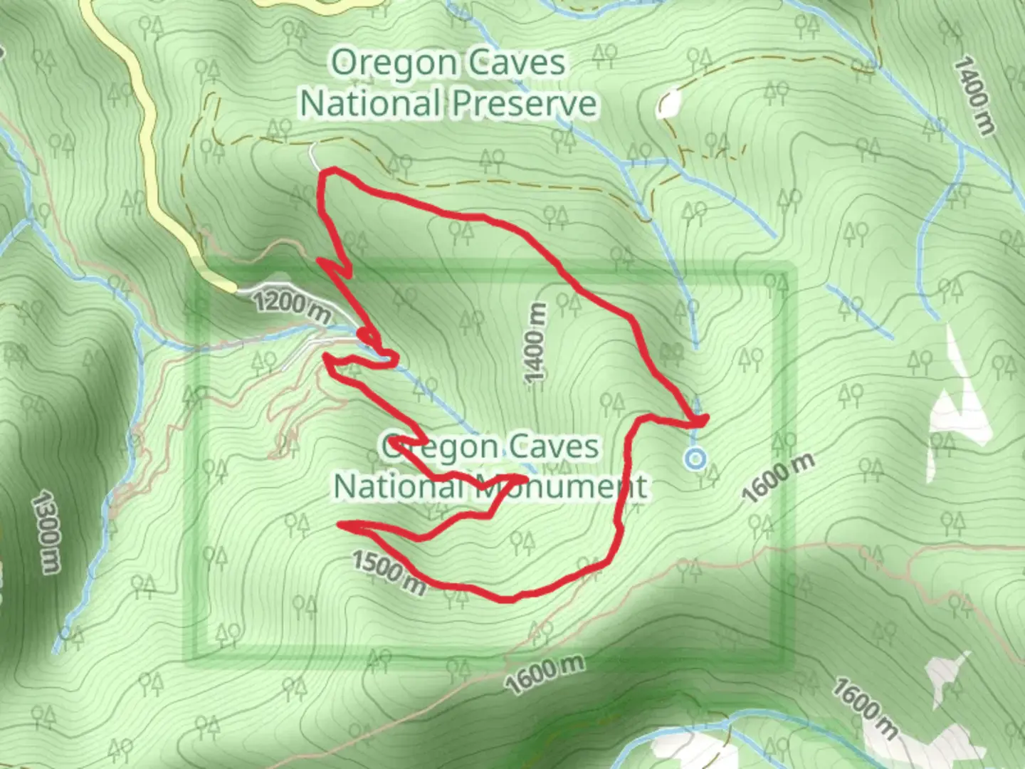 An image depicting the trail Big Tree Loop Trail and its surrounding area.