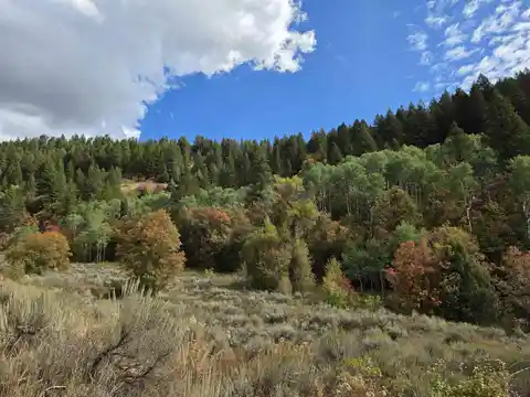 Jardine Juniper Trail