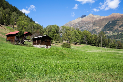 An image depicting the trail Wysswasser Trail and its surrounding area.