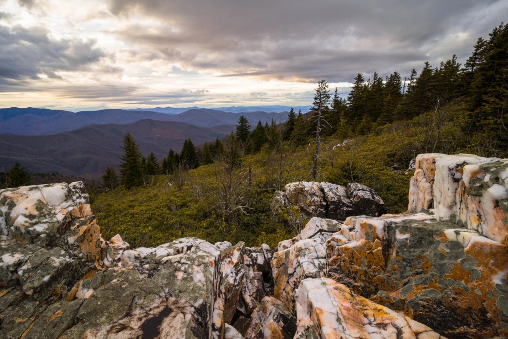 An image depicting the trail Shining Creek Path Trail and its surrounding area.