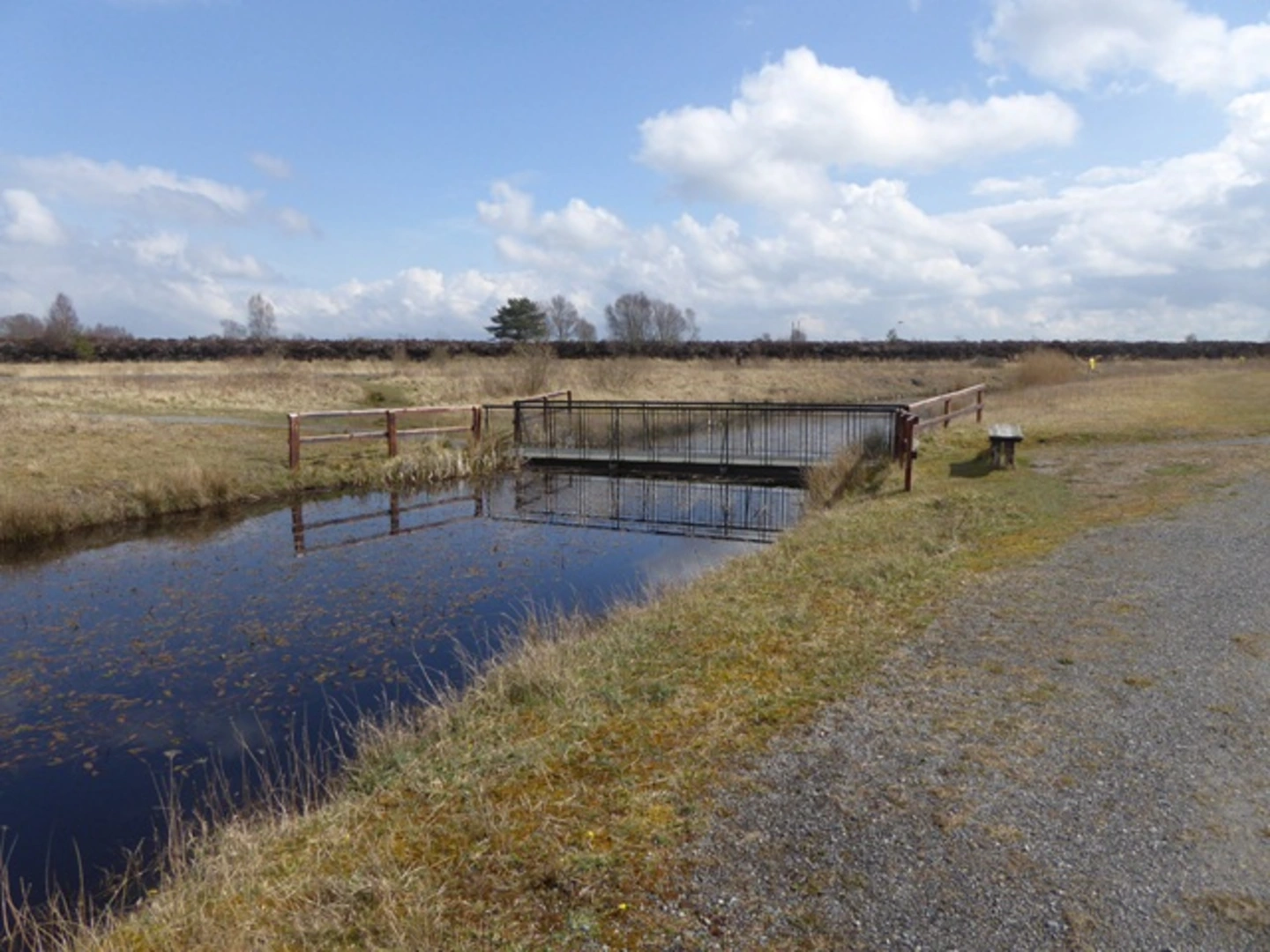 An image depicting the trail Lough Boora - Mesolithic Route and its surrounding area.