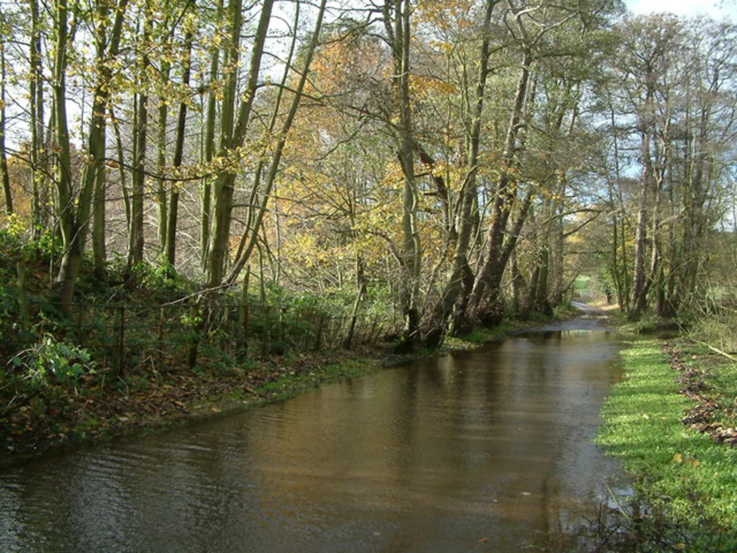 An image depicting the trail Weeford to Hints Loop and its surrounding area.
