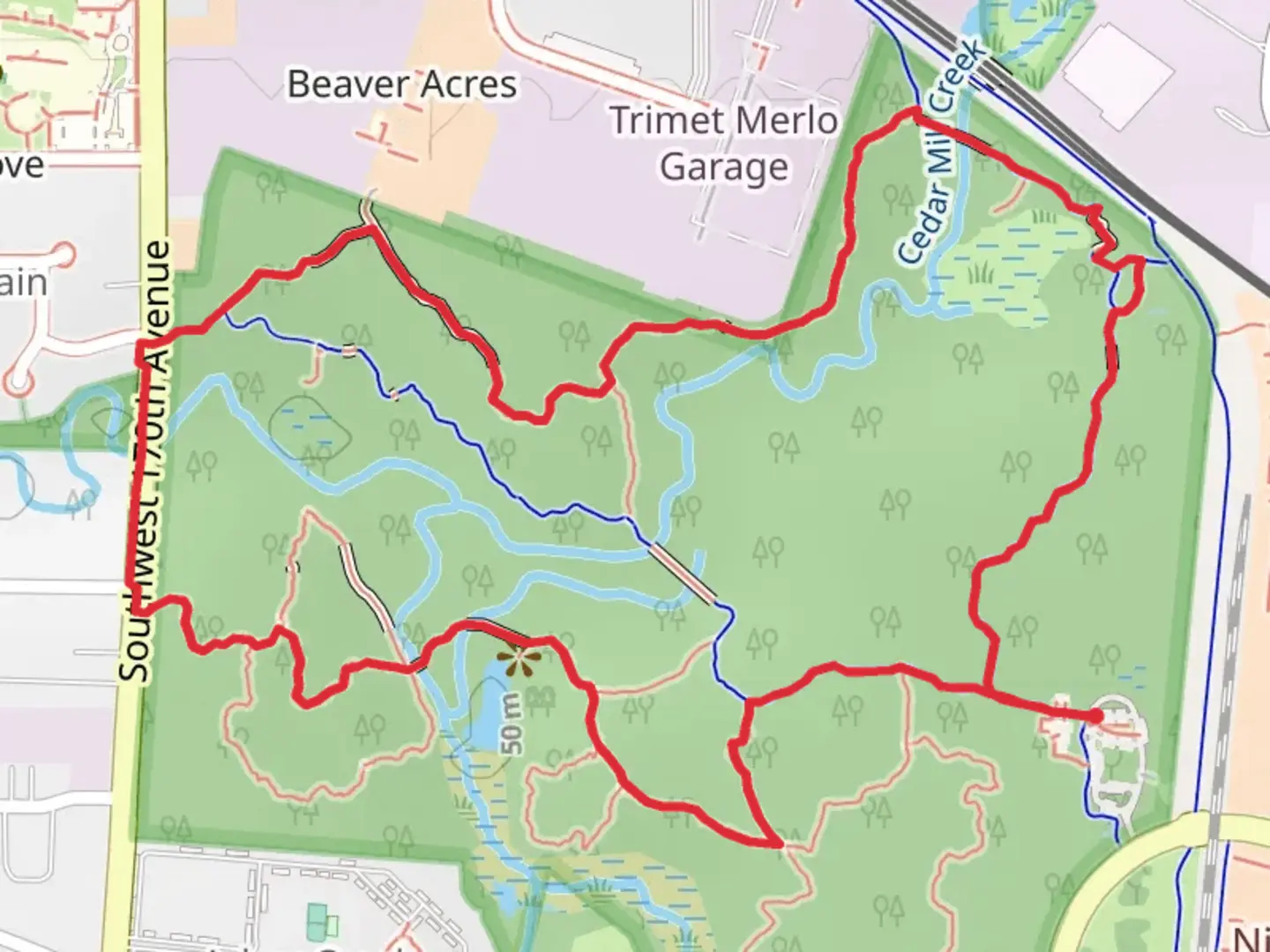 An image depicting the trail Oak, Old Wagon and Big Fir Loop Trail and its surrounding area.
