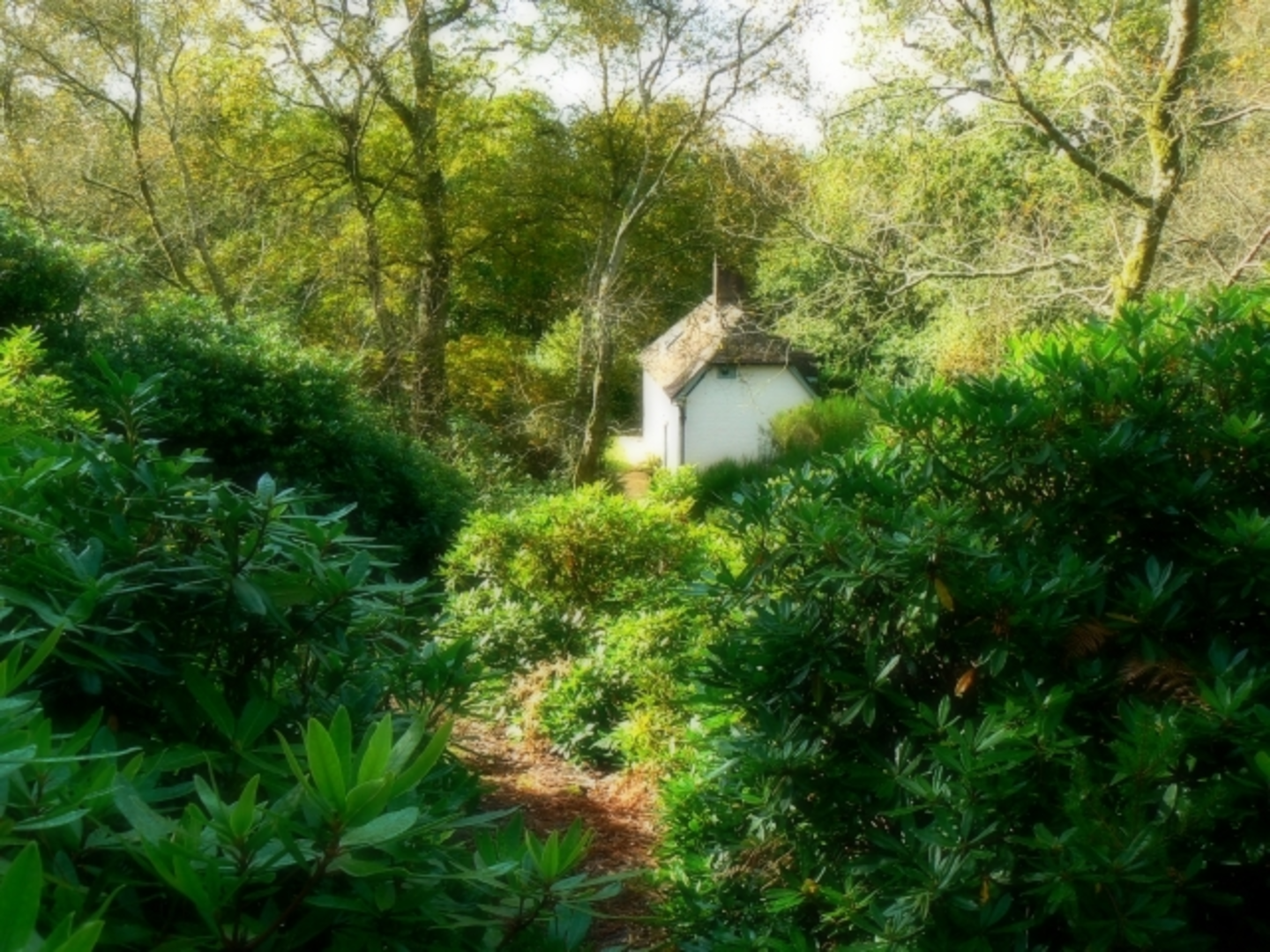 An image depicting the trail Bovington to Moreton Loop and its surrounding area.