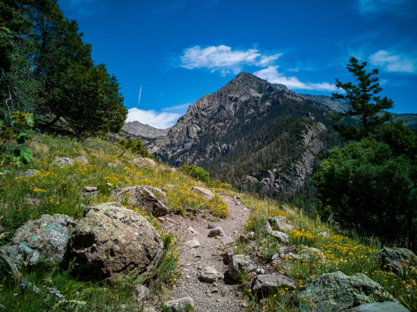 An image depicting the trail Challenger Point Peak Trail and its surrounding area.