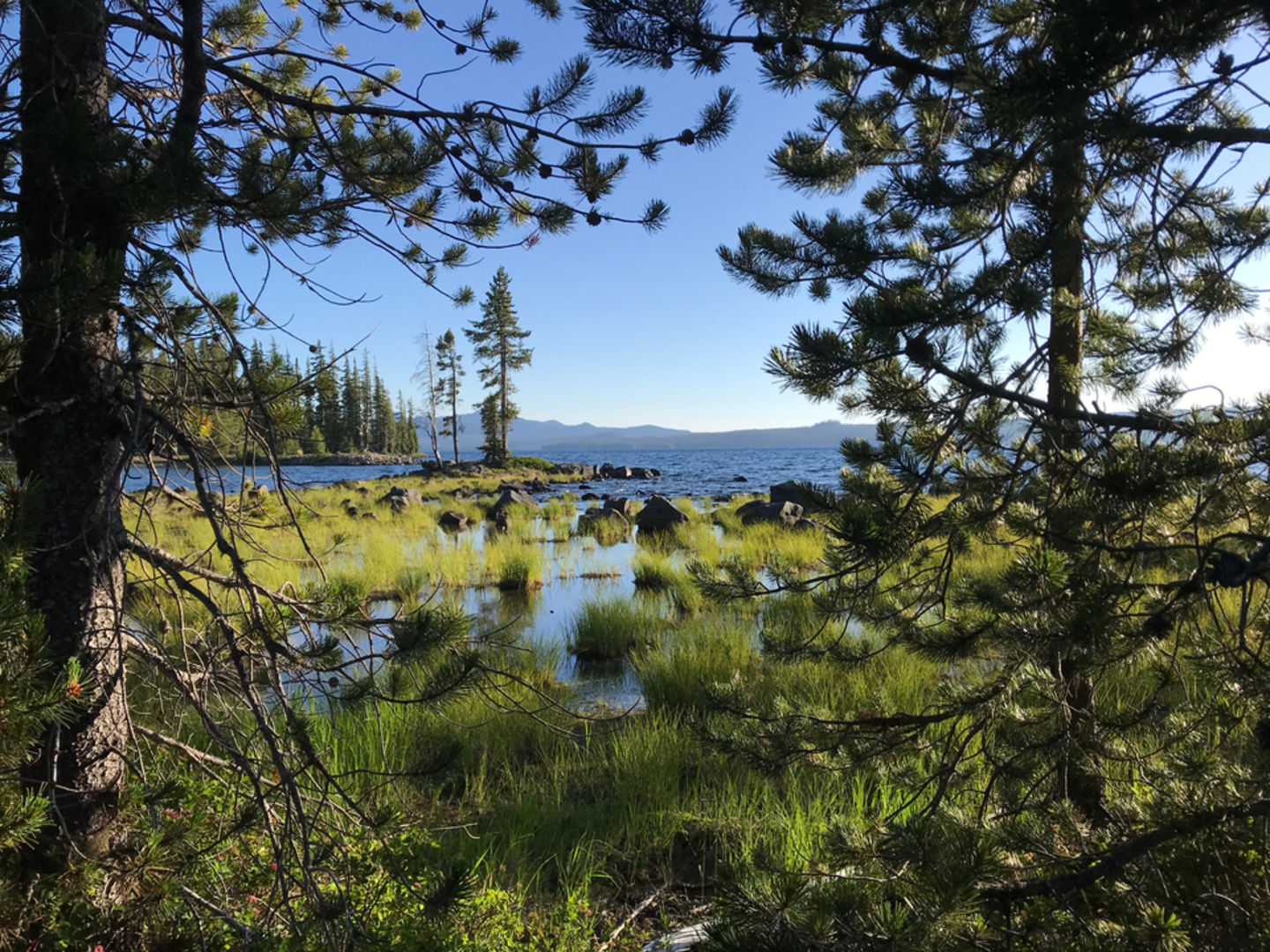An image depicting the trail Charlton Lake Trail and its surrounding area.