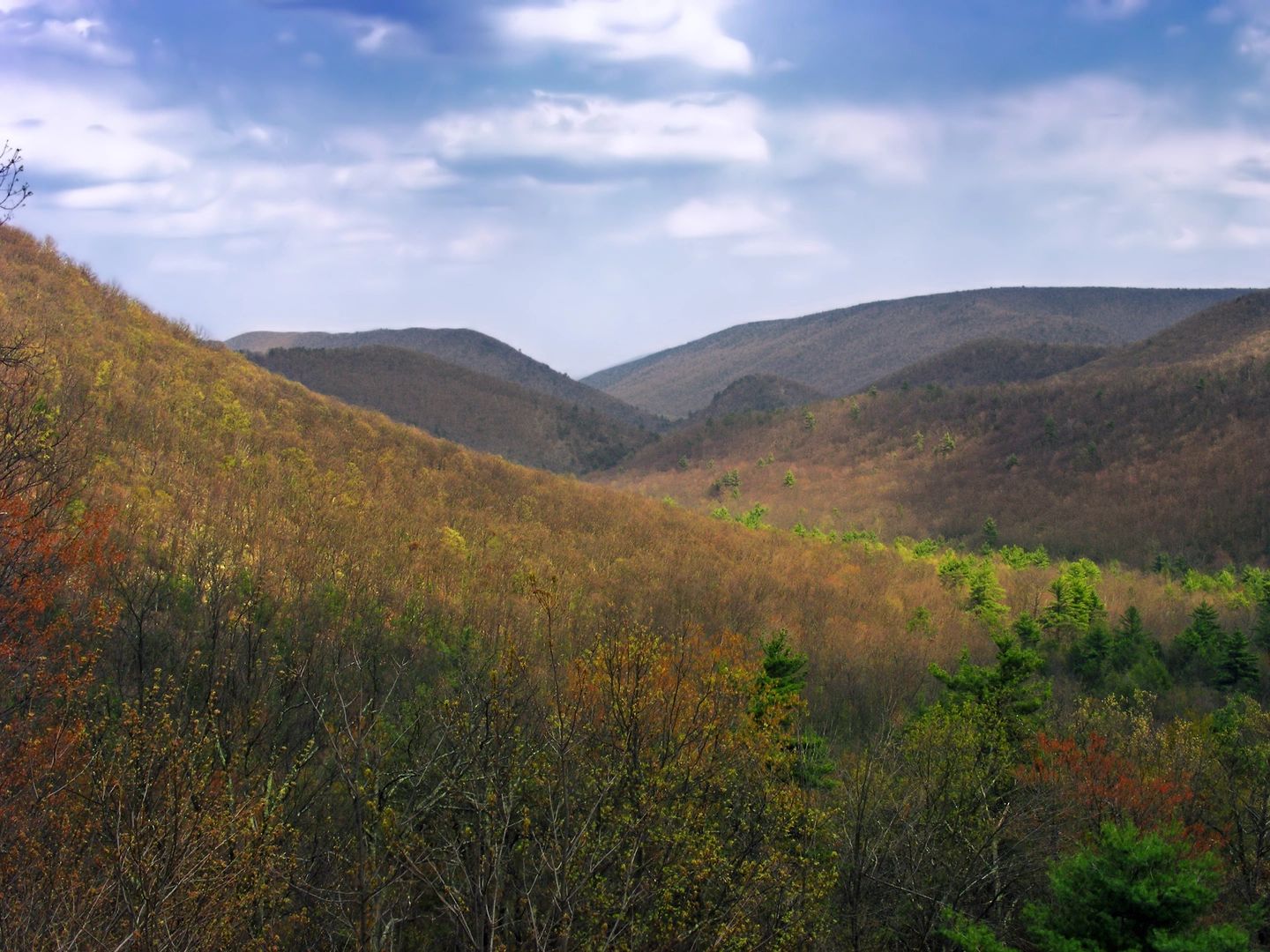 An image depicting the trail Penn's Creek from Winters Road and its surrounding area.