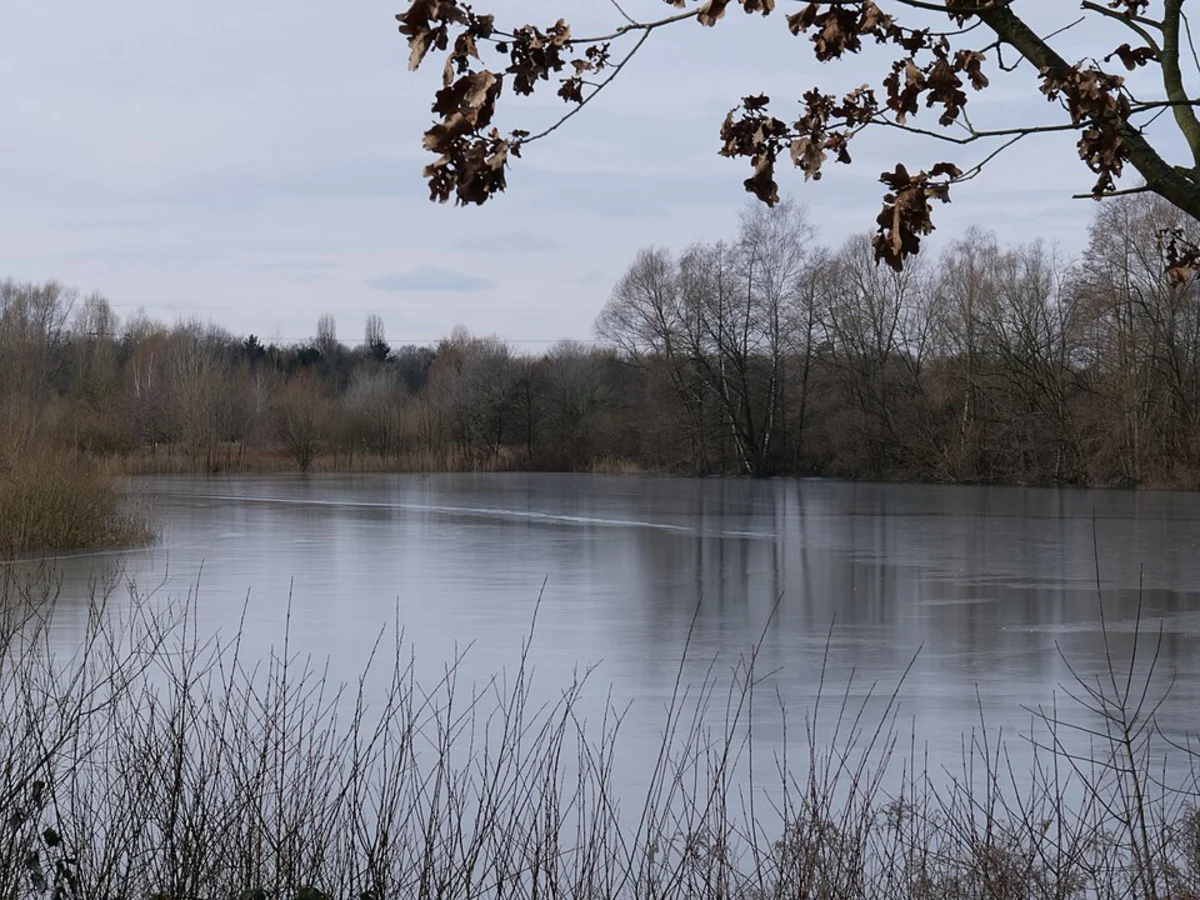 Spandauer Forst Loop via Laßzinssee and NSG Teufelsbruch and Nebenmoore