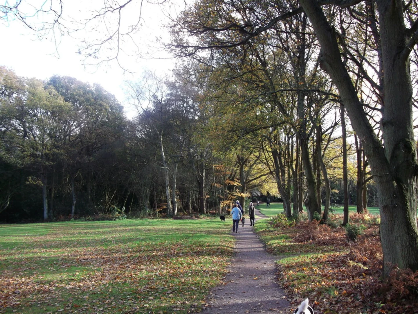 An image depicting the trail Limpsfield Chart Circular Walk and its surrounding area.