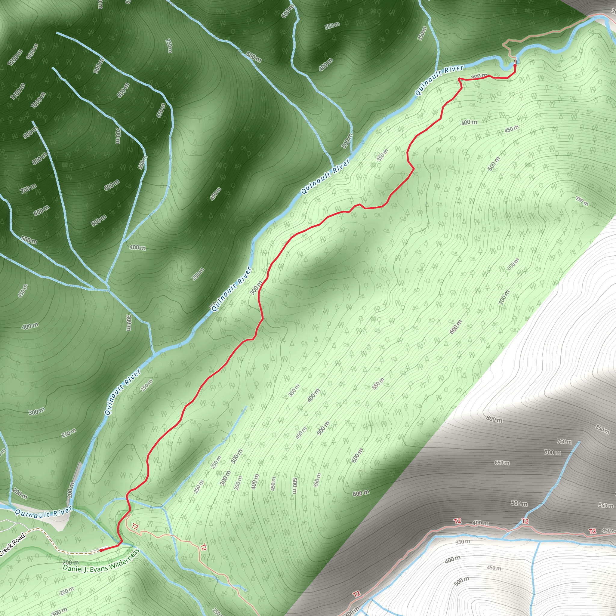 Pony Bridge Camp via East Fork Quinault River Trail mobile static map
