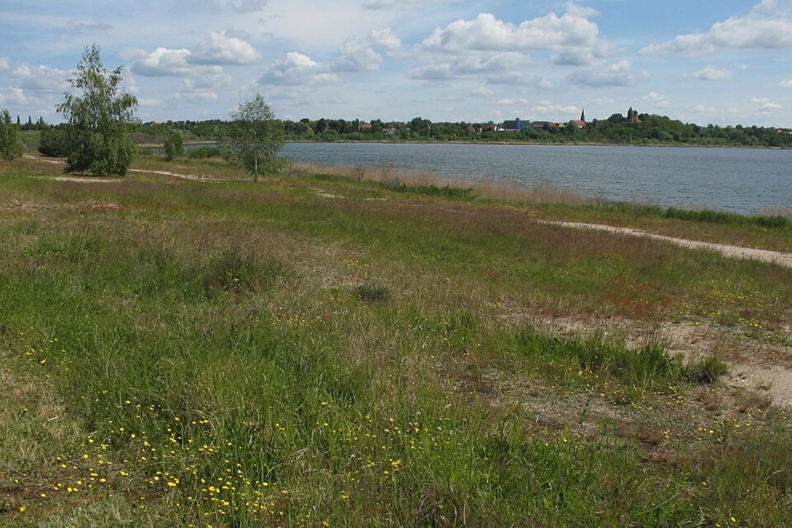 An image depicting the trail Grosser Goitzschesee via Lutherweg Sachsen Anhalt and its surrounding area.