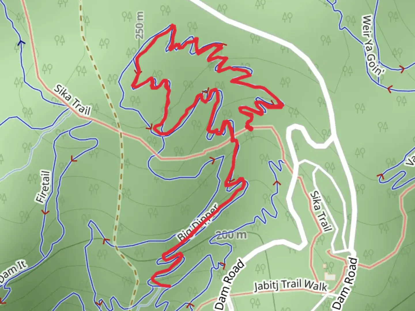 An image depicting the trail Big Dipper Track and its surrounding area.