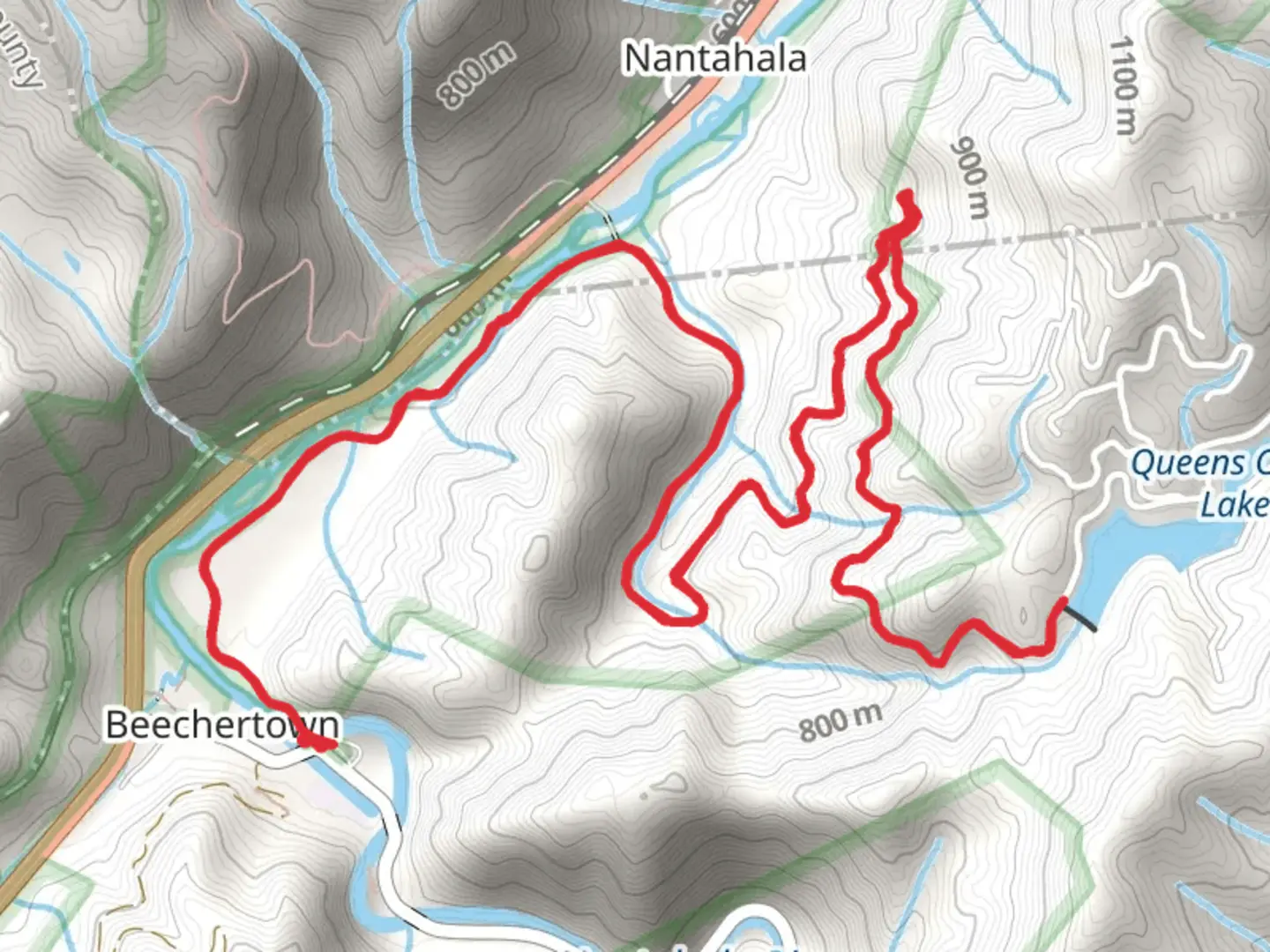 An image depicting the trail Queens Creek Lake and its surrounding area.