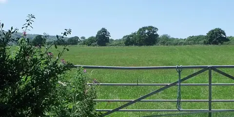 An image depicting the trail Charleston Route - 3 and its surrounding area.