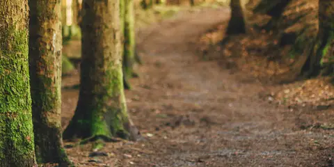 An image depicting the trail Monicknew - Valley Walk and its surrounding area.