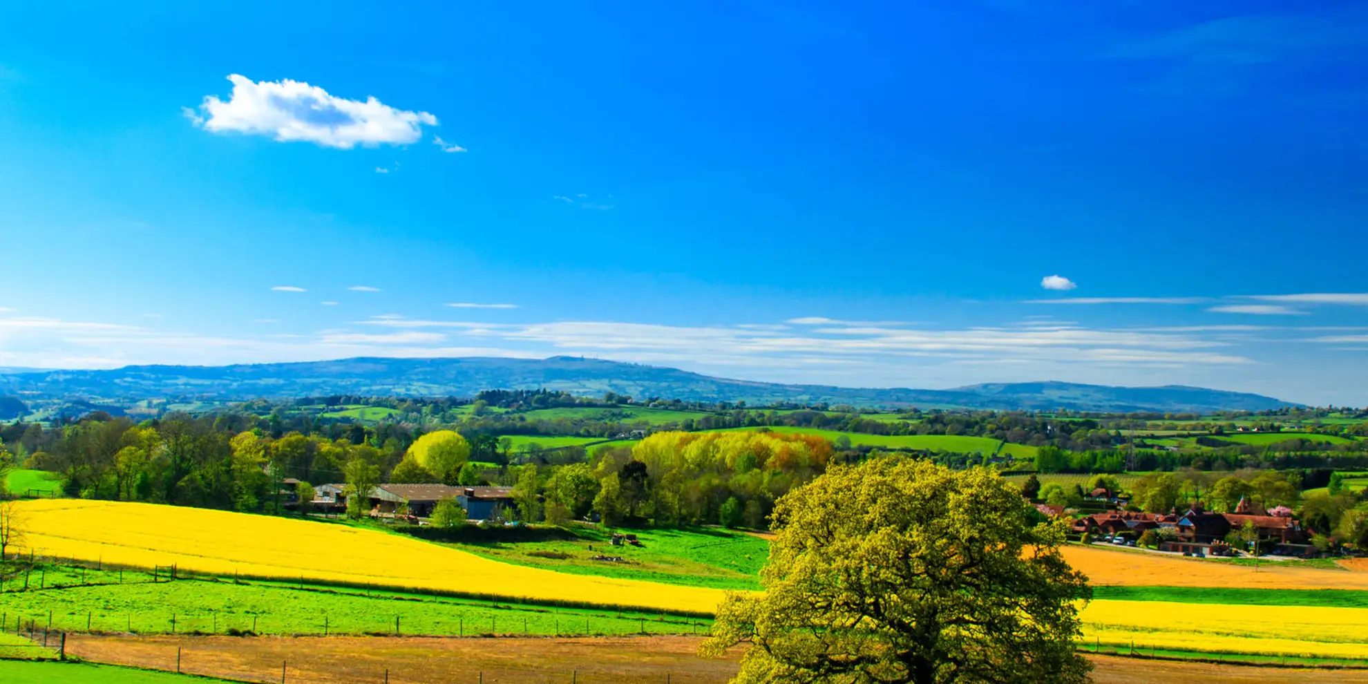 An image depicting the trail Abberley Hills - Worcestershire Way Circular and its surrounding area.