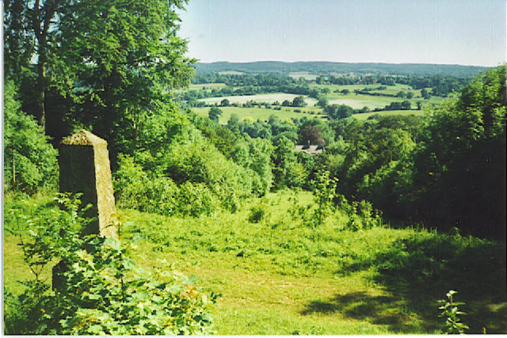 An image depicting the trail Netley Heath and its surrounding area.