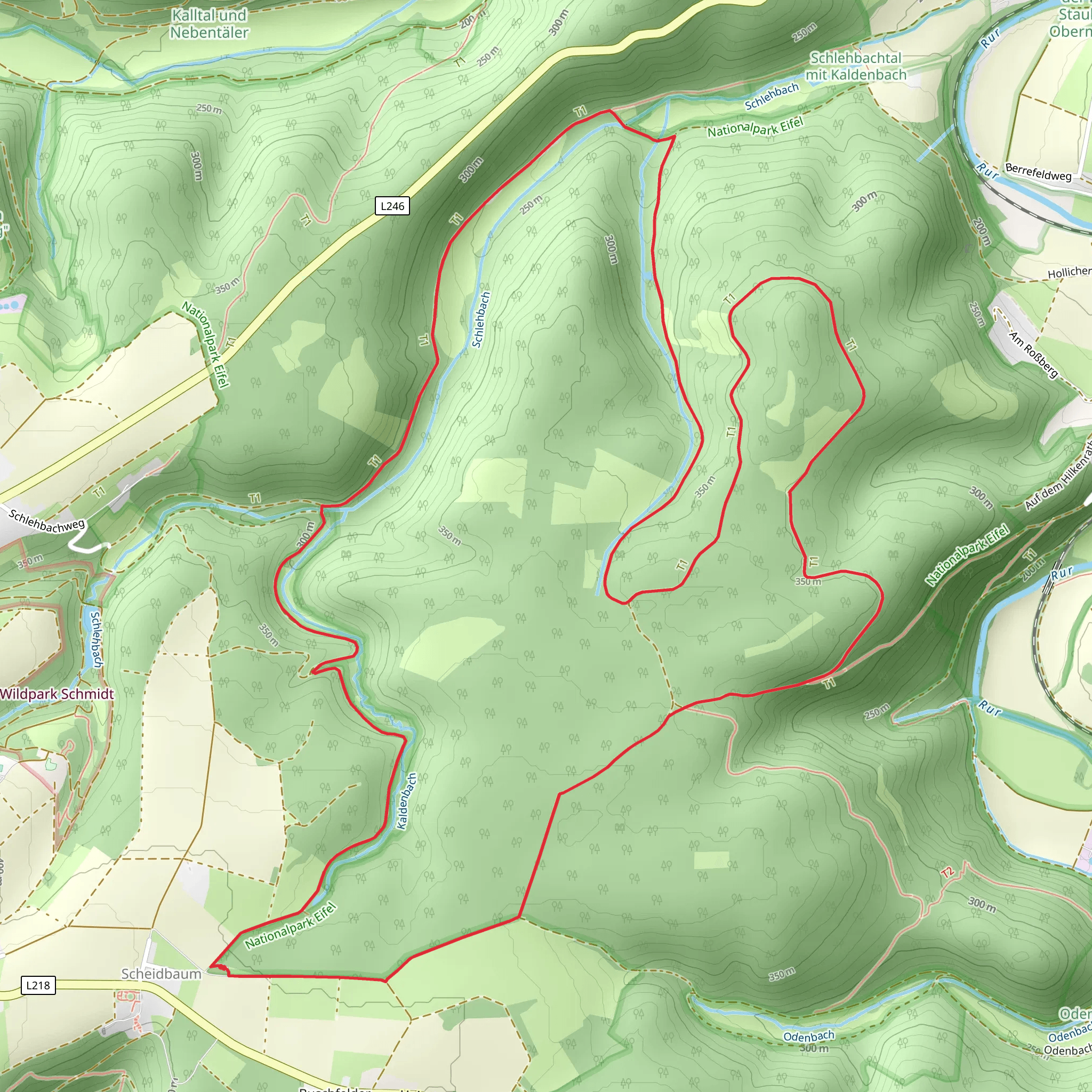Roßberg Loop via Wildnis Trail mobile static map