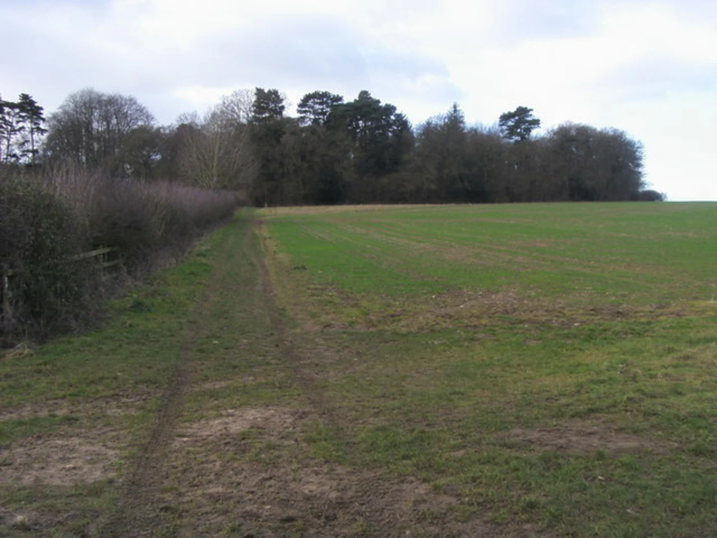 An image depicting the trail Ramsden Hill Circular and its surrounding area.