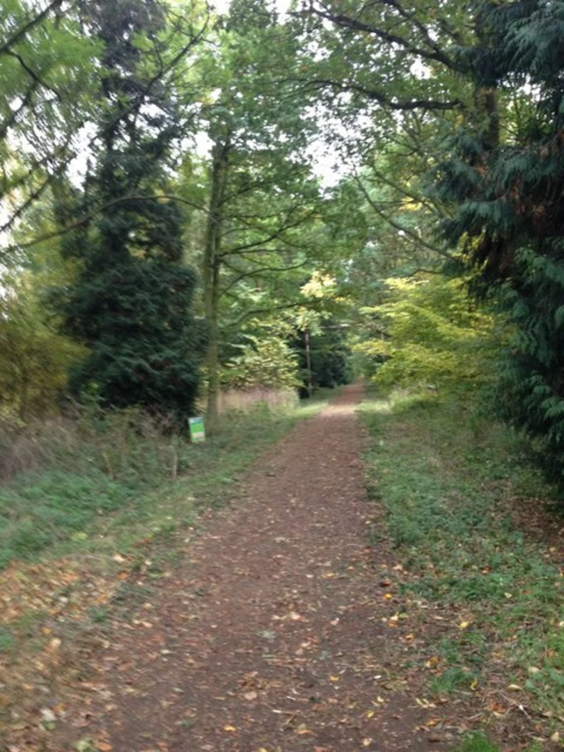 An image depicting the trail Chicksands Wood Loop and its surrounding area.