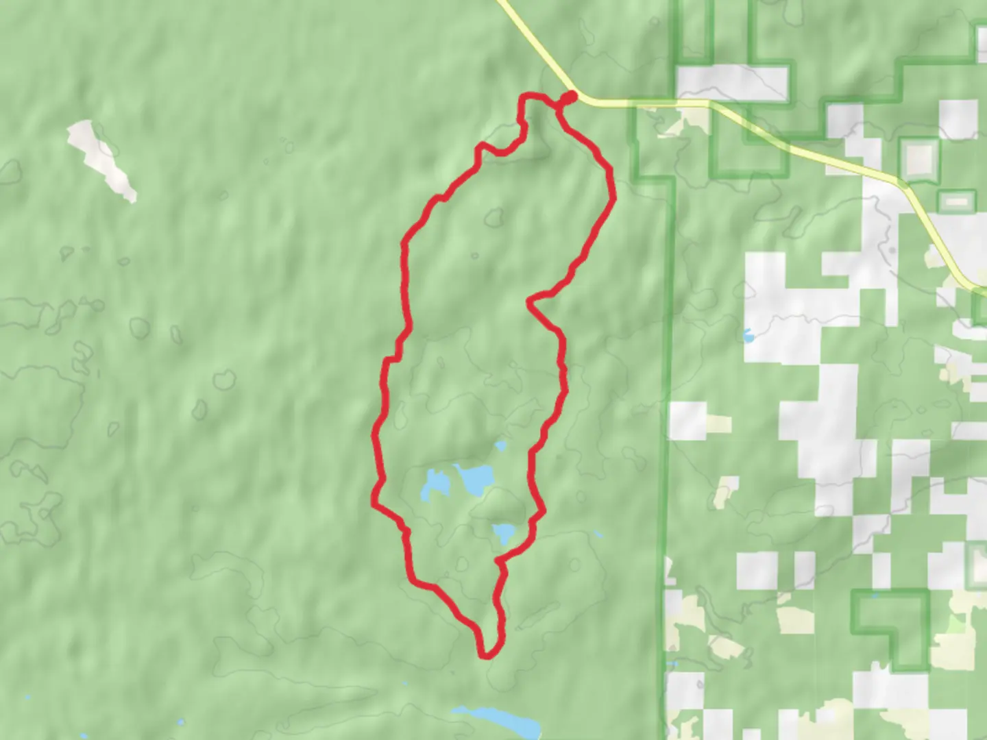 An image depicting the trail Valhalla Trail and its surrounding area.
