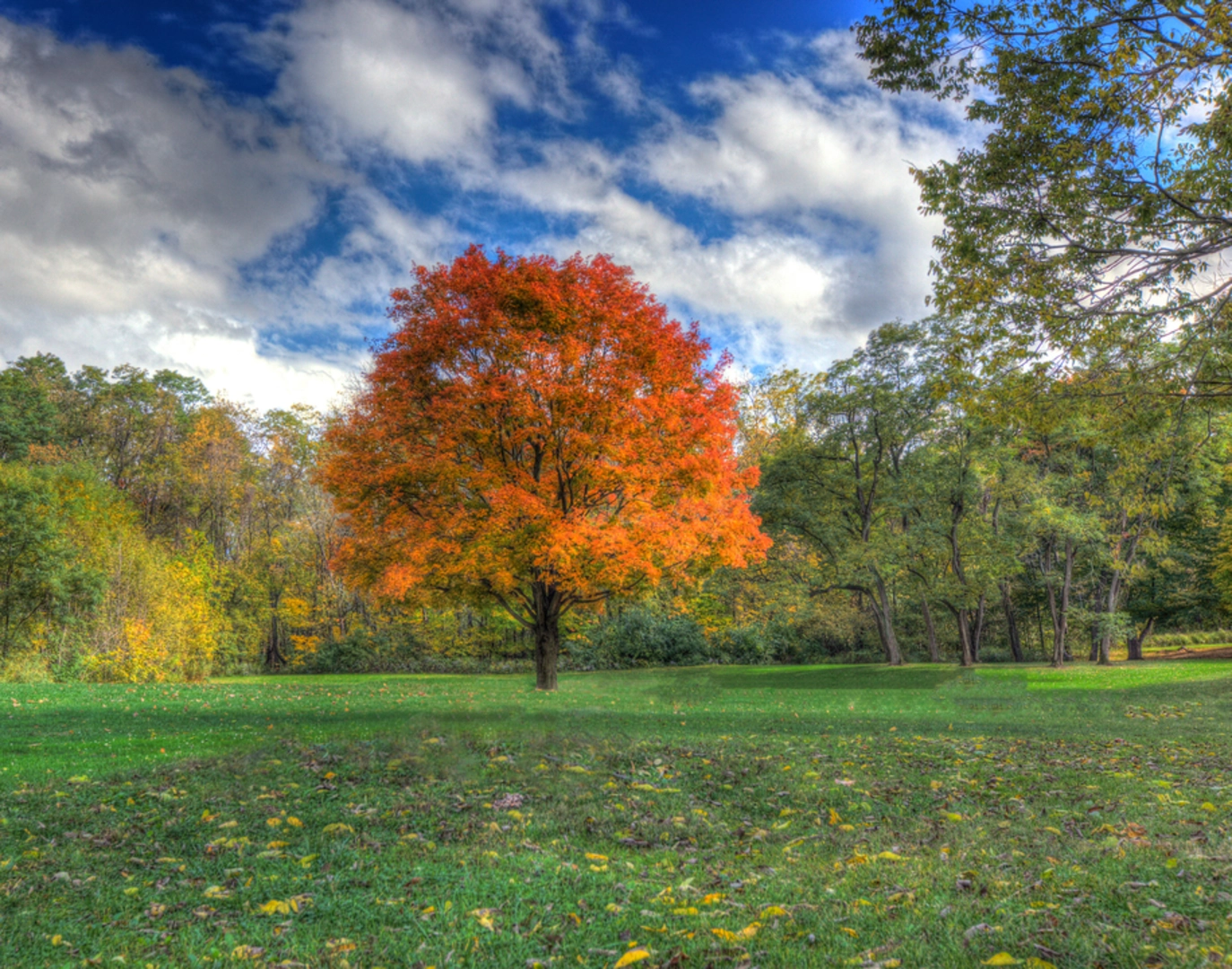 An image depicting the trail Mounds State Park Loop and its surrounding area.